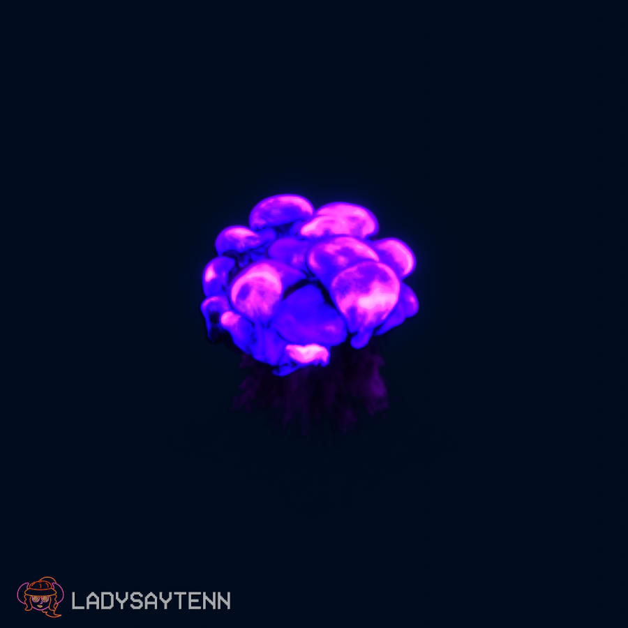 Purple Explosion Thing